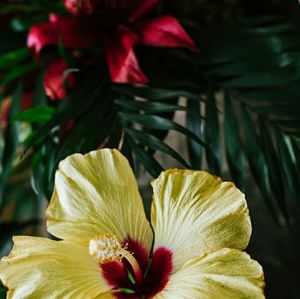 Meet your Posher, Debora